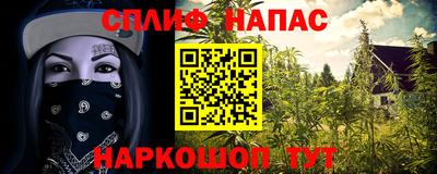 твердый Лесосибирск