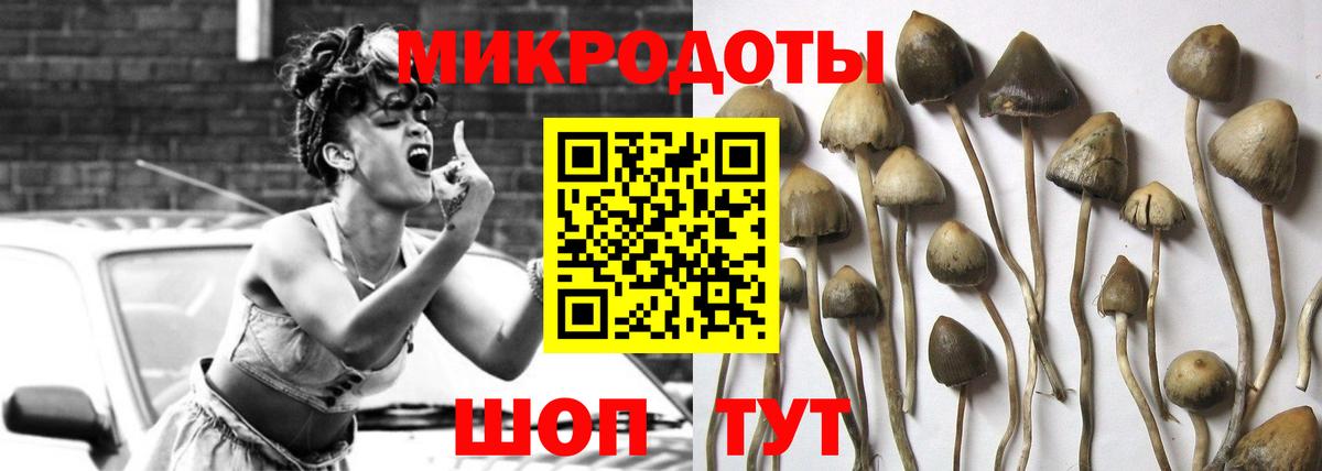 купить наркотик  Псилоцибиновые грибы GOLDEN TEACHER  Вход с VPN  Елизово 