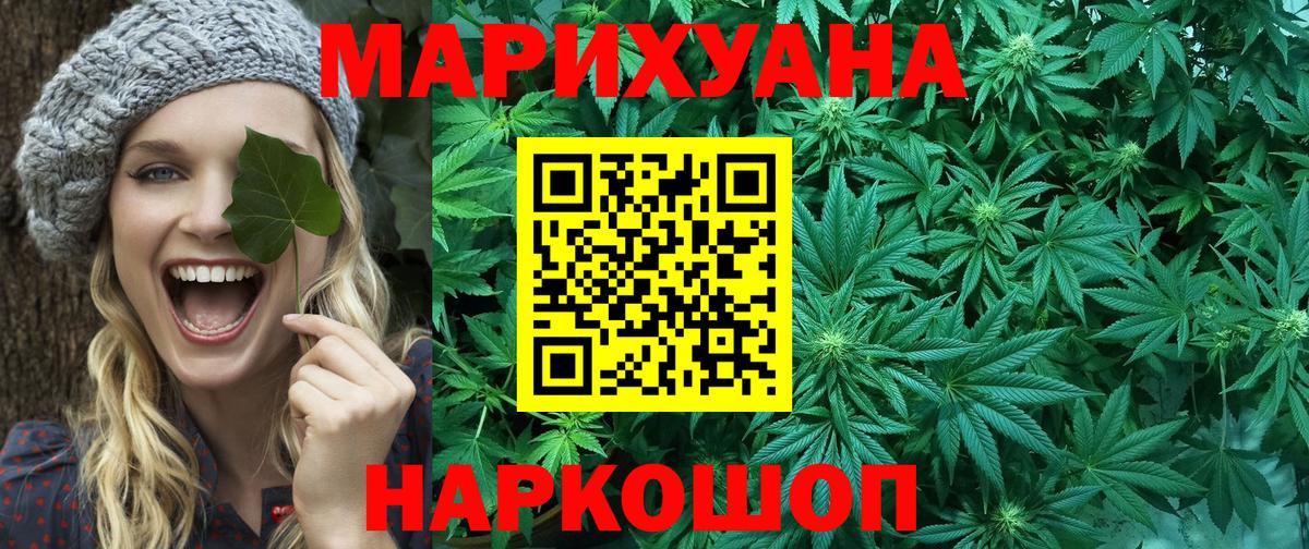 МЕФ Елизово